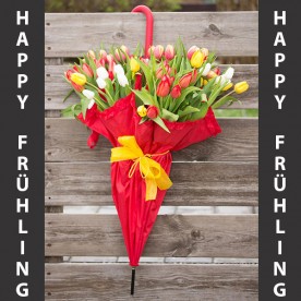 Der „Werbeartikel-Frühling“ bei Kronauer Schreibgeräte Der „Werbeartikel-Frühling“ bei Kronauer Schreibgeräte